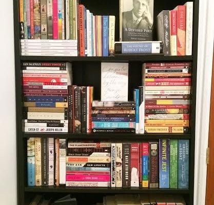 Book Shelves Organization